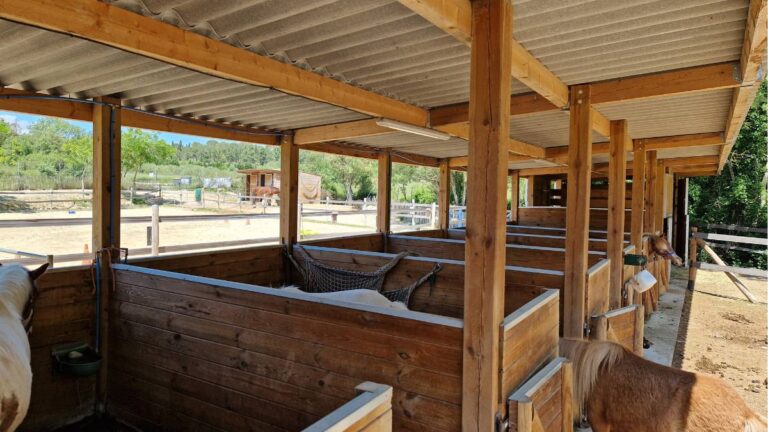 Dans les coulisses du Poney Club avant l’arrivée des enfants