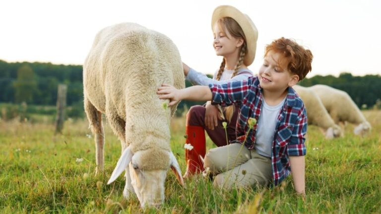 Pourquoi le contact avec les animaux change souvent les enfants
