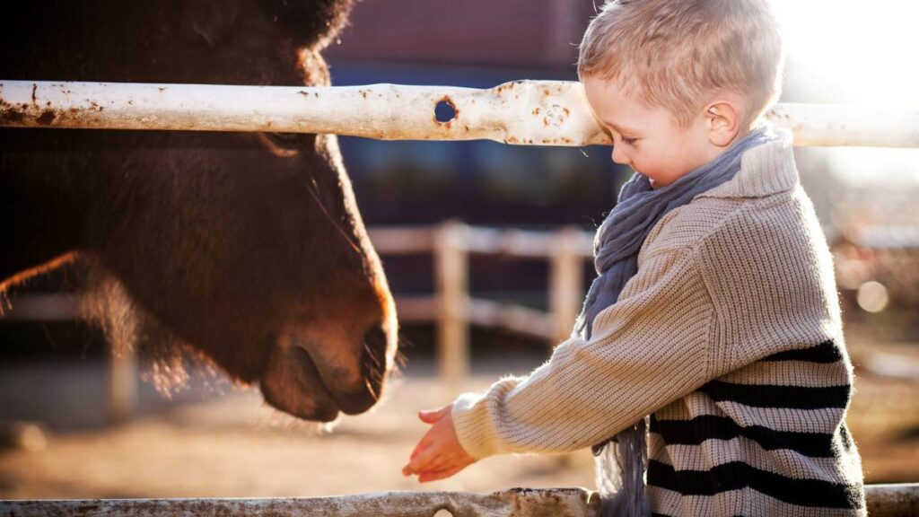 Pourquoi les enfants adorent nourrir les animaux