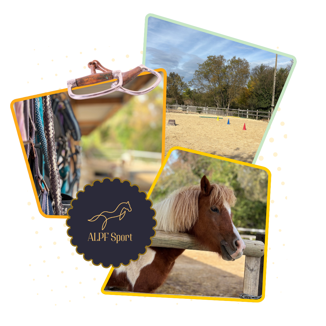 Poney club