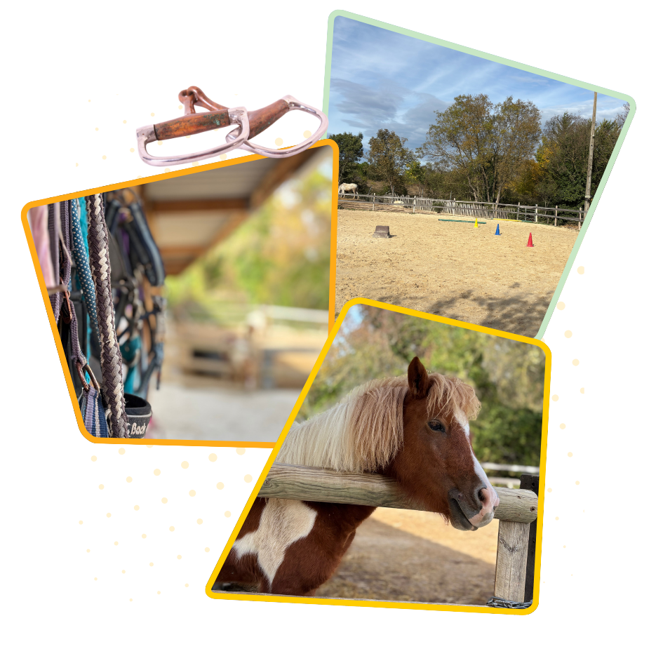 Poney Club À La P'tite Ferme